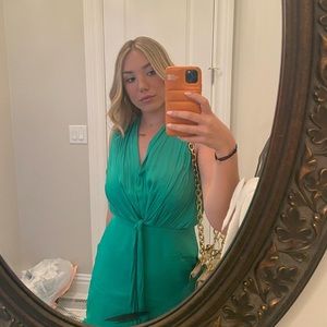 GREEN SIZE SMALL NAKED ZEBRA DRESS